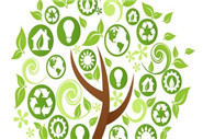 多參數(shù)水質(zhì)分析儀招標(biāo)參數(shù)是什么？有什么要求？