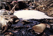 醫(yī)療機構(gòu)污水排放標準 GB18466-2005