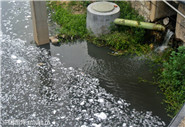 污水處理廠進水口水質(zhì)、出水口水質(zhì)12項必檢項目指標